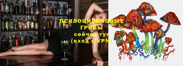альфа пвп Новокубанск