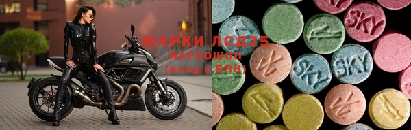 jwh Новозыбков