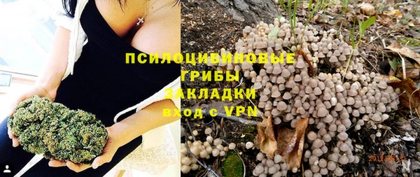 apvp Новодвинск